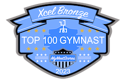 Xcel Bronze Top 100 Gymnast
