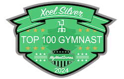 Xcel Silver Top 100 Gemnast